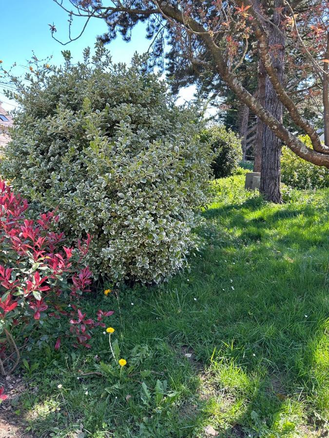 Bed and Breakfast Arc En Ciel Du Mont Pontorson Esterno foto