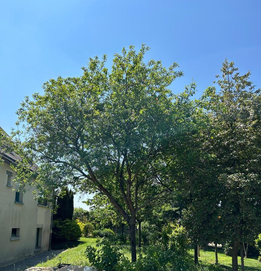 Bed and Breakfast Arc En Ciel Du Mont Pontorson Esterno foto